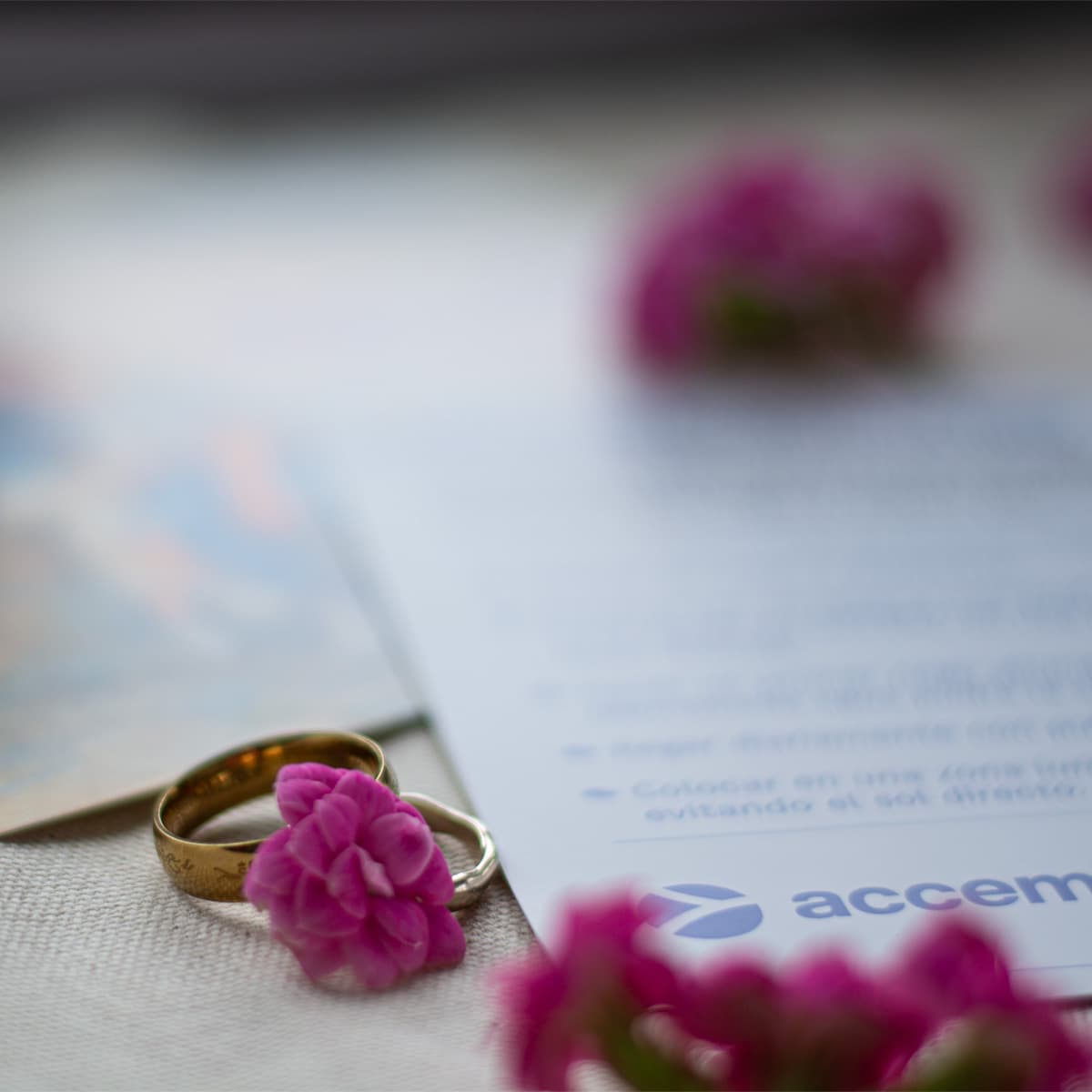 Detalle de tarjetas solidarias de boda Accem con alianzas y flores