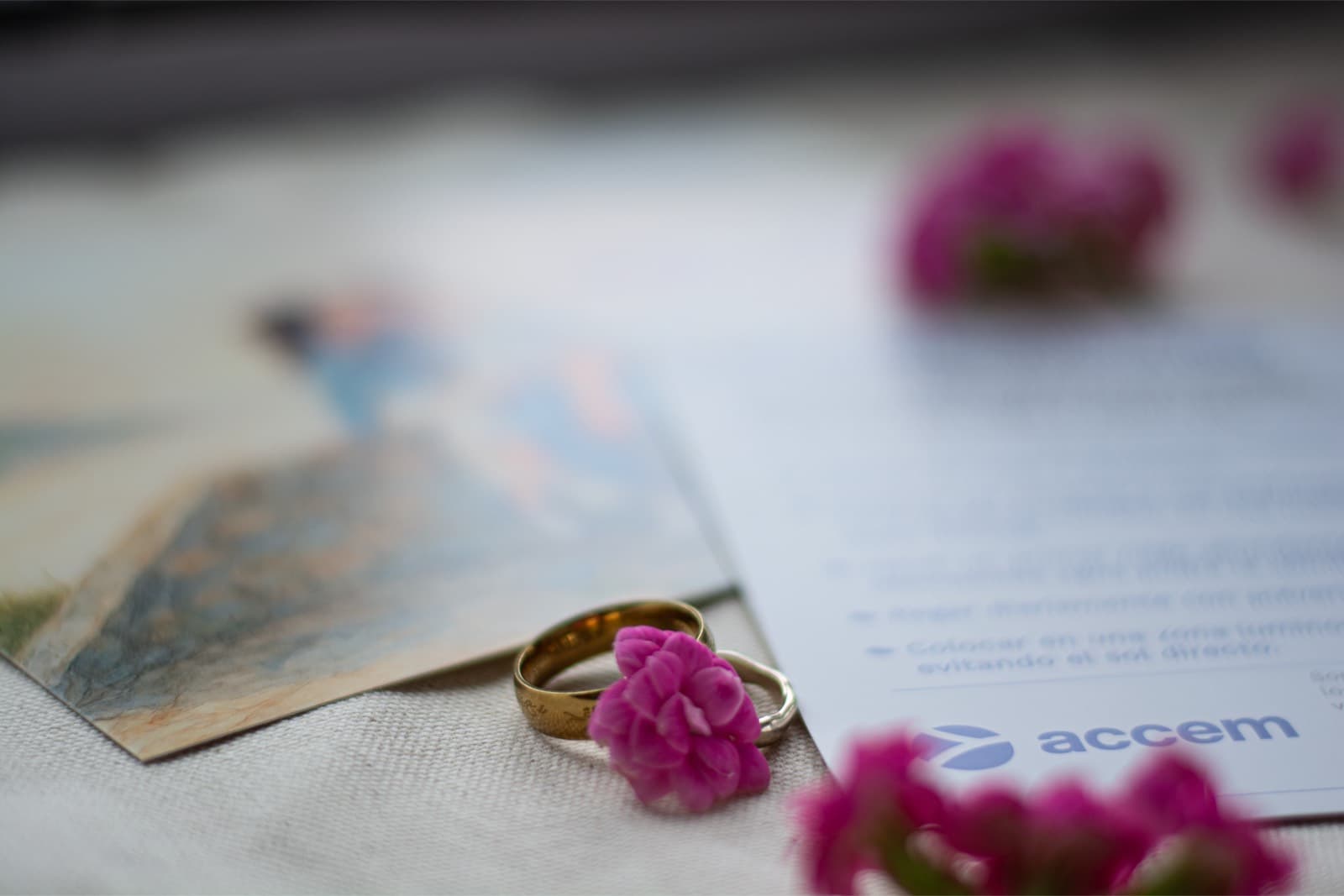 Detalle de tarjetas solidarias de boda Accem con alianzas y flores