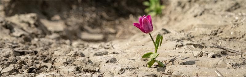 Una mano amiga en medio de la oscuridad